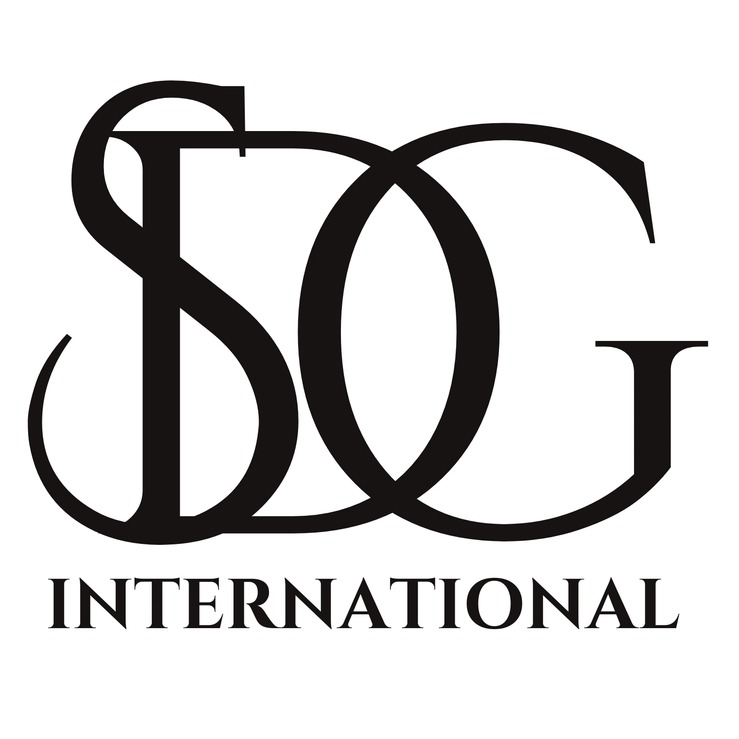 sdg logo